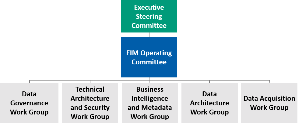Data Governance Structure Diagram